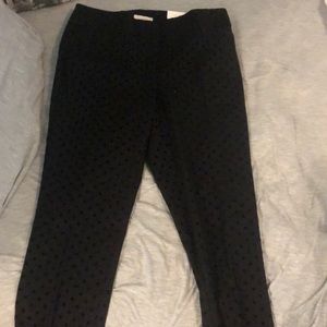 Black pants with polka dots